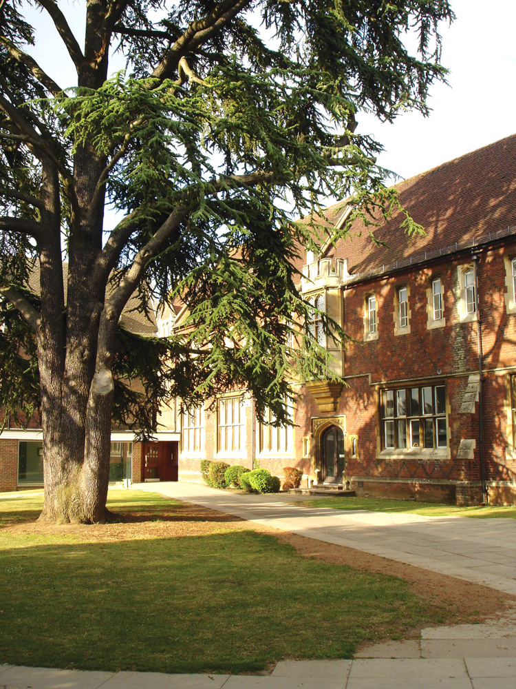Destroy Faculty Stress With These Strong Suggestions! 2